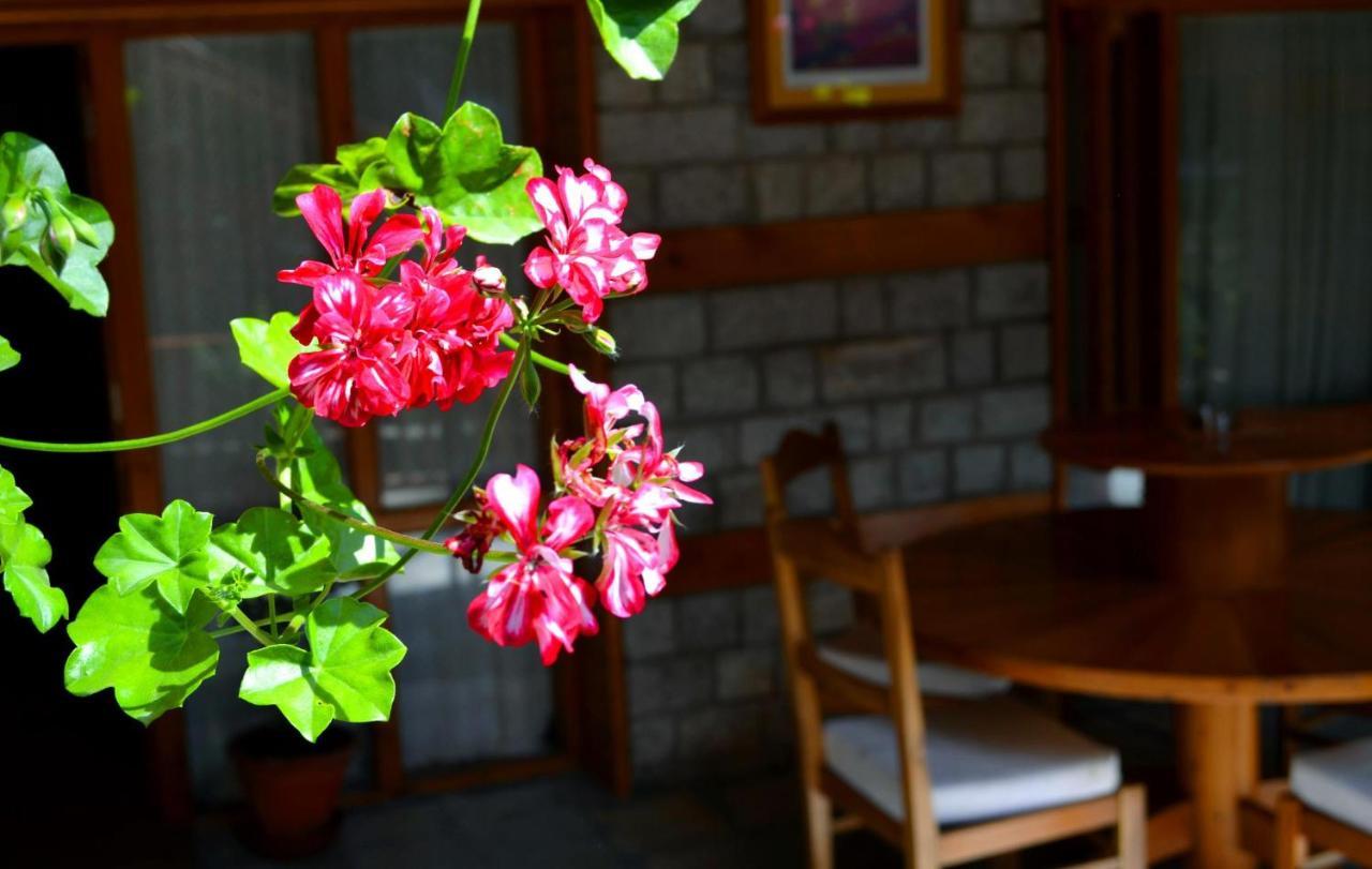Holiday Home International -Vivaan Stays Manāli エクステリア 写真